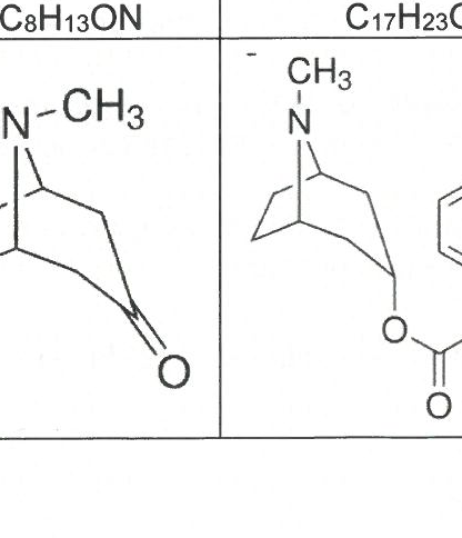 Figure du sujet