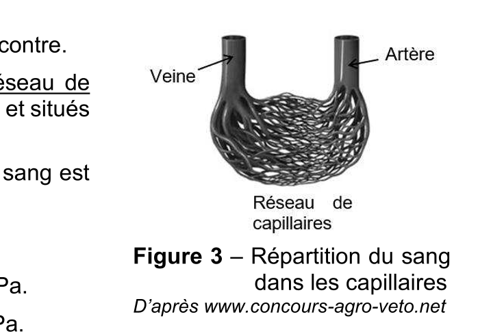 Figure du sujet