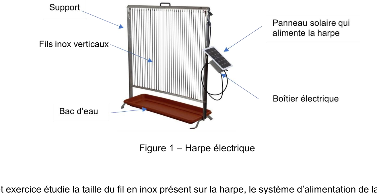 Figure du sujet
