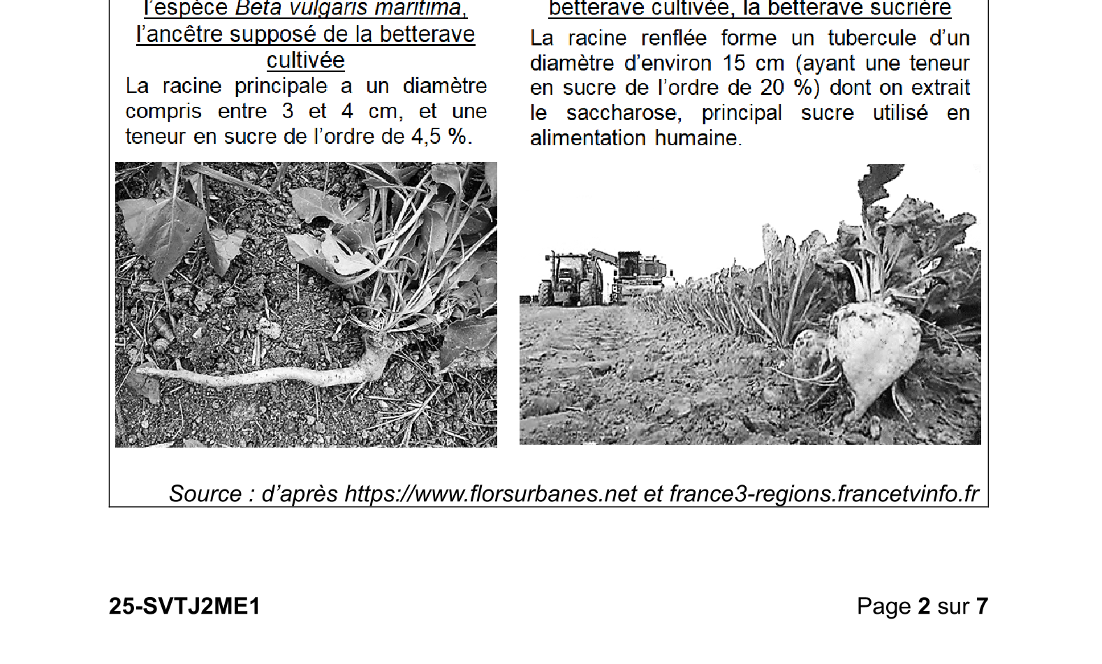 Document du sujet