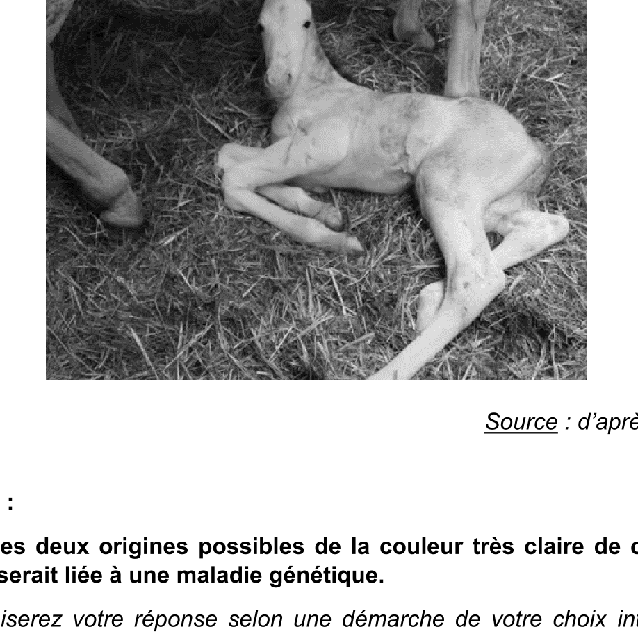 Document du sujet