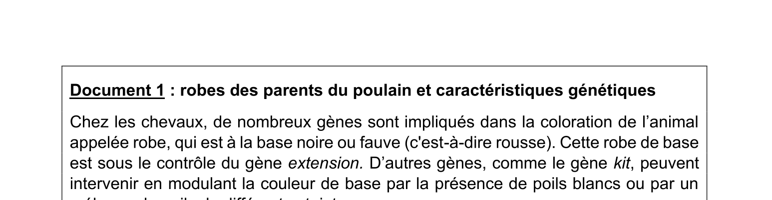 Document du sujet