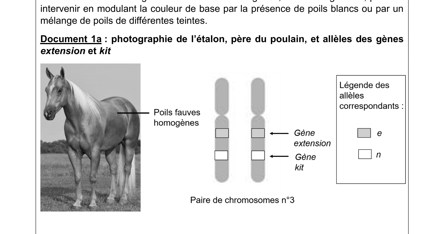 Document du sujet