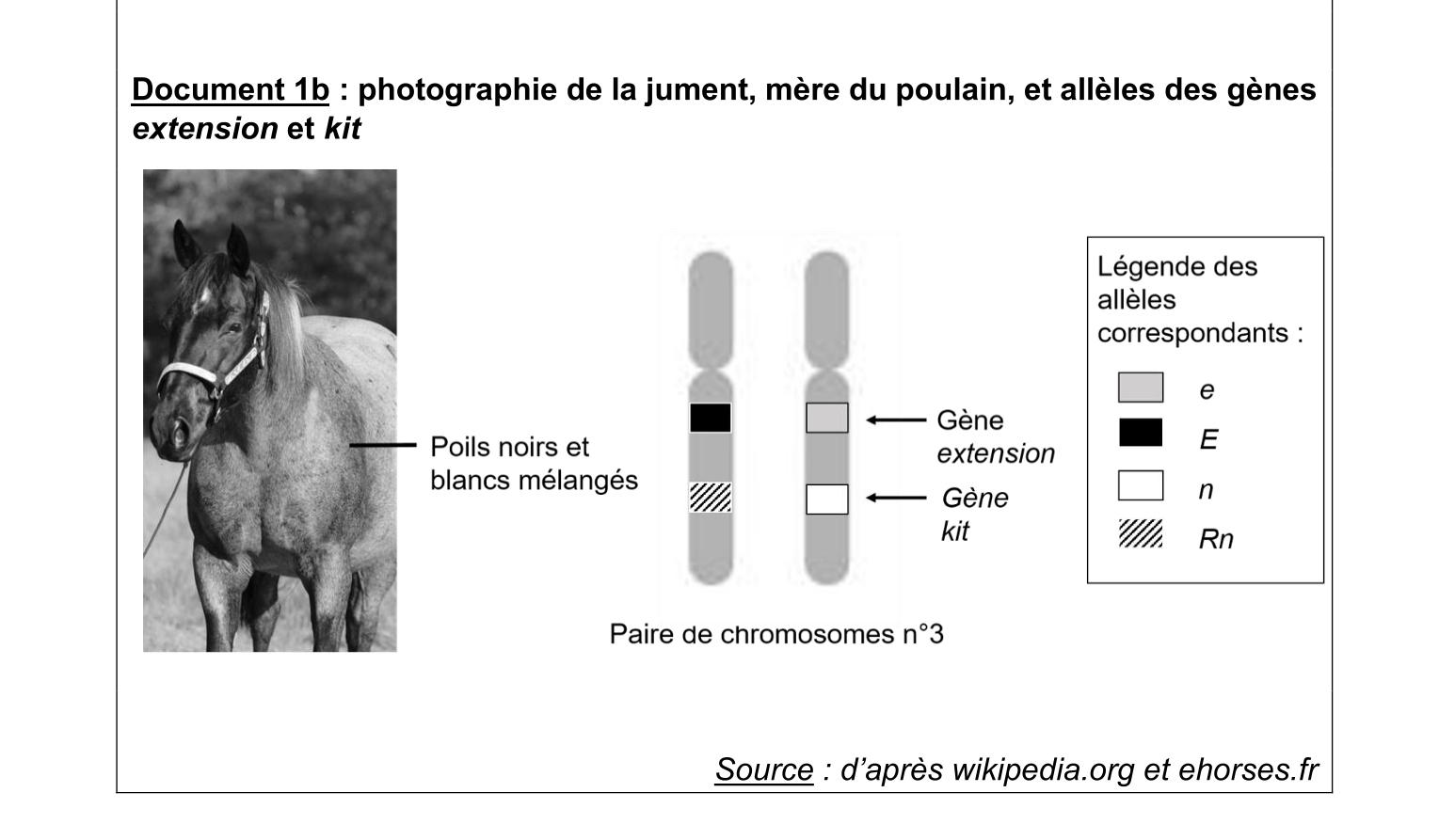 Document du sujet