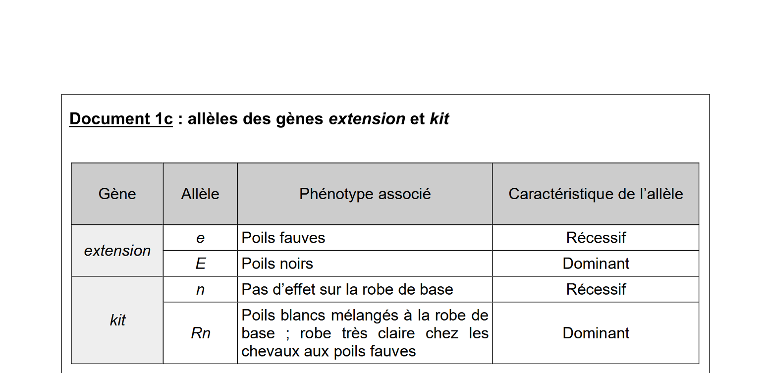 Document du sujet