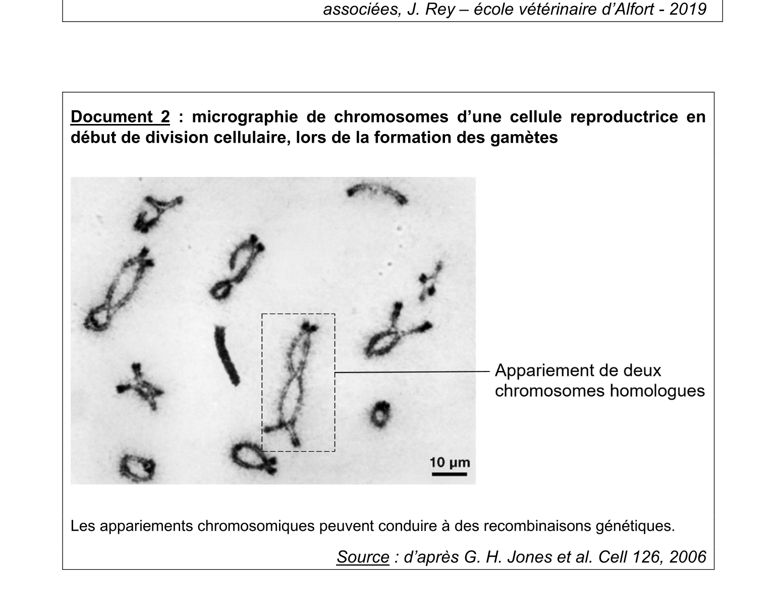 Document du sujet