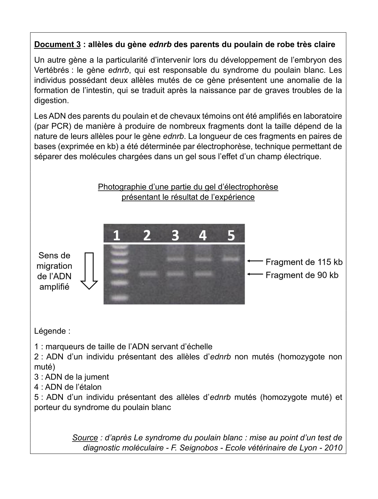 Document du sujet