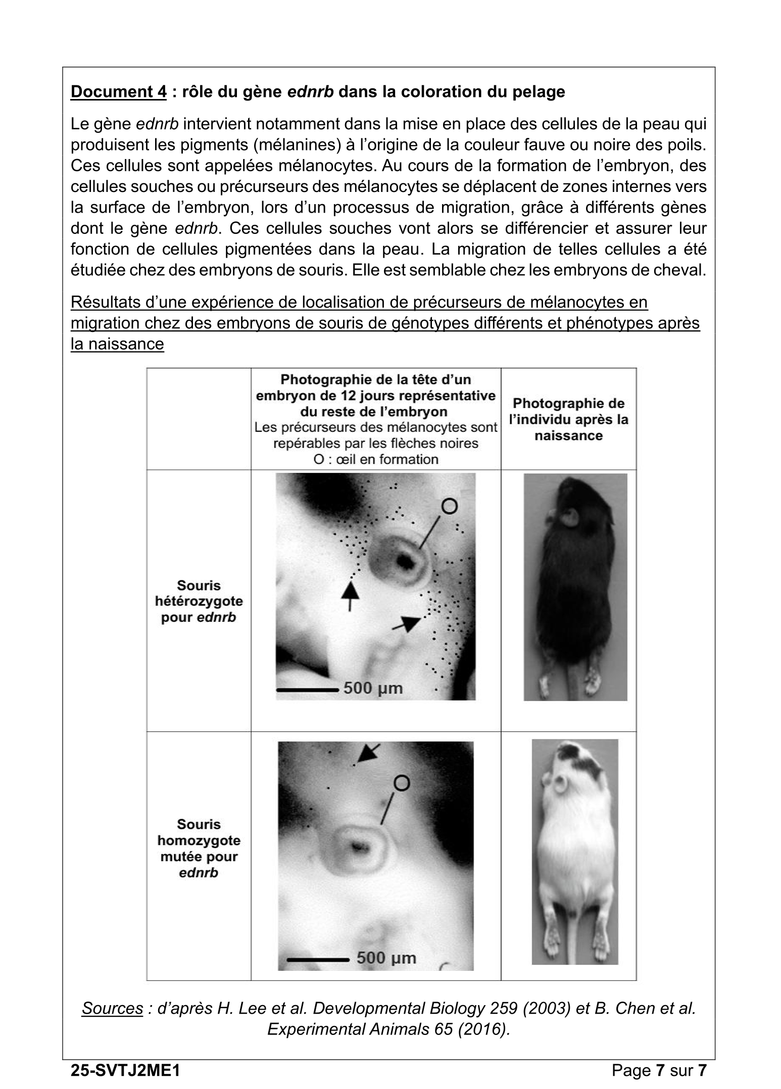 Document du sujet
