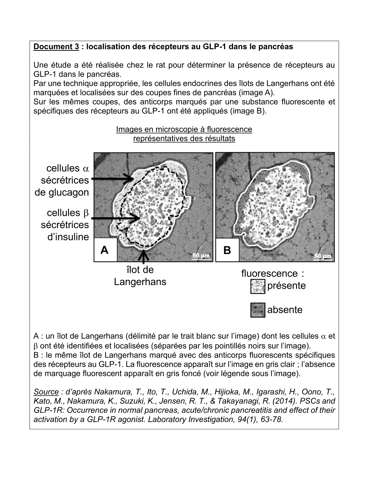 Document du sujet